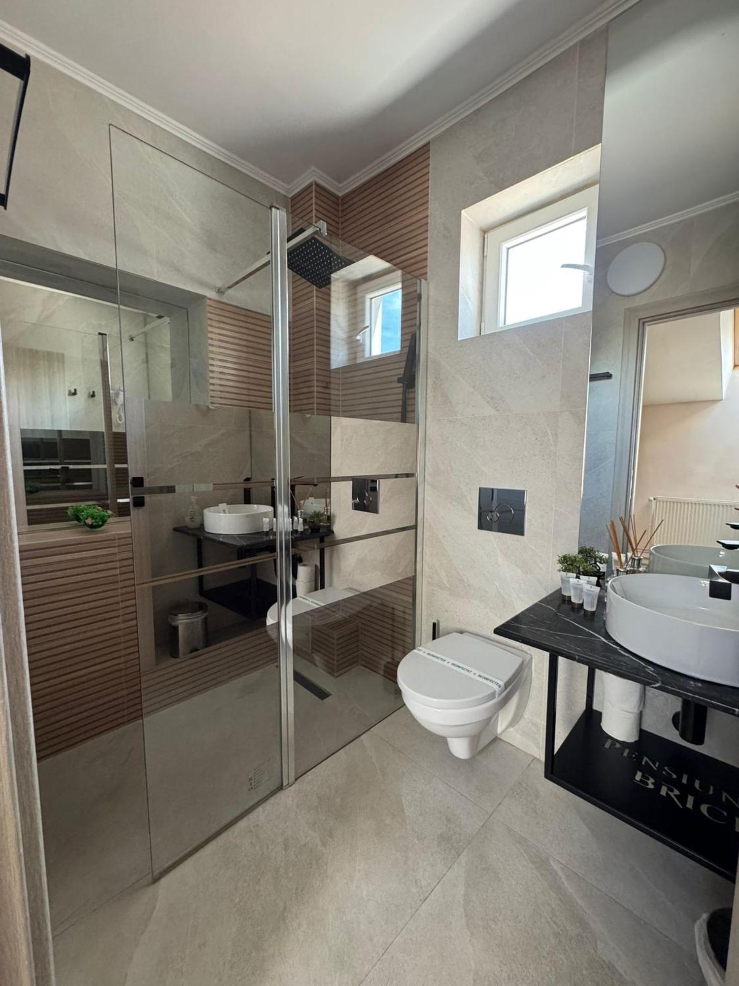 Guest house Pensiunea Brici 3*
